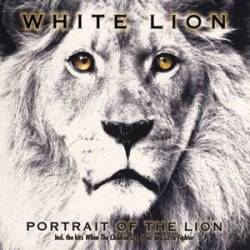 White Lion : Portrait of a Lion